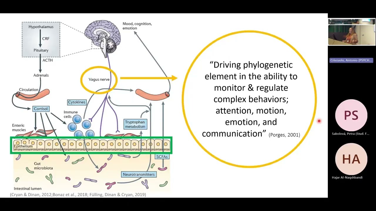Body Brain Waves'25 - Talk by Laura Steenberg