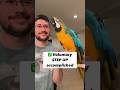 Solving Step Up Biting with Parrots #birds #care
