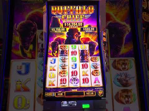 Casino Infantil DivertiJunjla