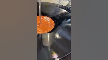 Alma Latina – Songs From the Soul at the Pressing Plant #shorts #salsa #almalatina