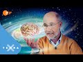 Hat das Universum ein Bewusstsein? | Harald Lesch