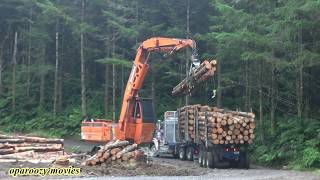 Loading Logging Trucks at Murupara New Zealand