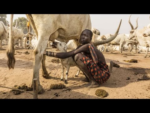 قبيلة المنداري بجنوب السودان تشتهر برعي الأبقار وممارسة المصارعة