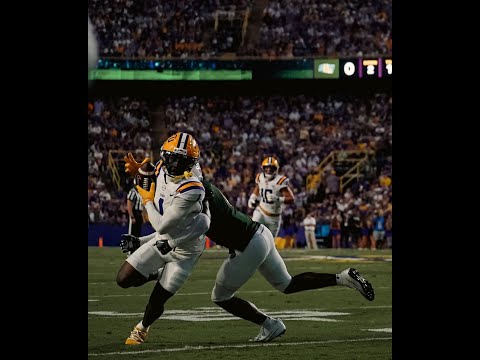 LSU vs Southeastern post game reaction