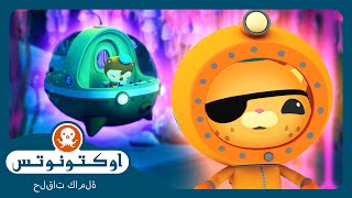 أوكتونوتس | 🎐 ازدهار قنديل البحر 🦦 |  السلسلة 1 | الحلقة 36