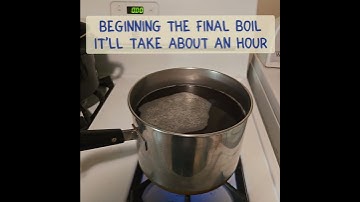 Making Black Walnut Syrup - Part 3: Finishing up! (Directions in Description)