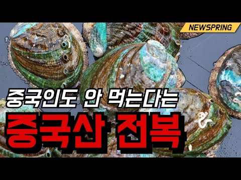 [Spring News] Abalone with borax? Would you still eat this?