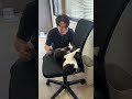 会社猫ふくの日常😸バカップルらしく頭の中お花畑状態でイスクルクルしてました😑#株式会社日章 #会社猫 #バカップル