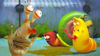 larva whats snail hiding cartoons for children larva official