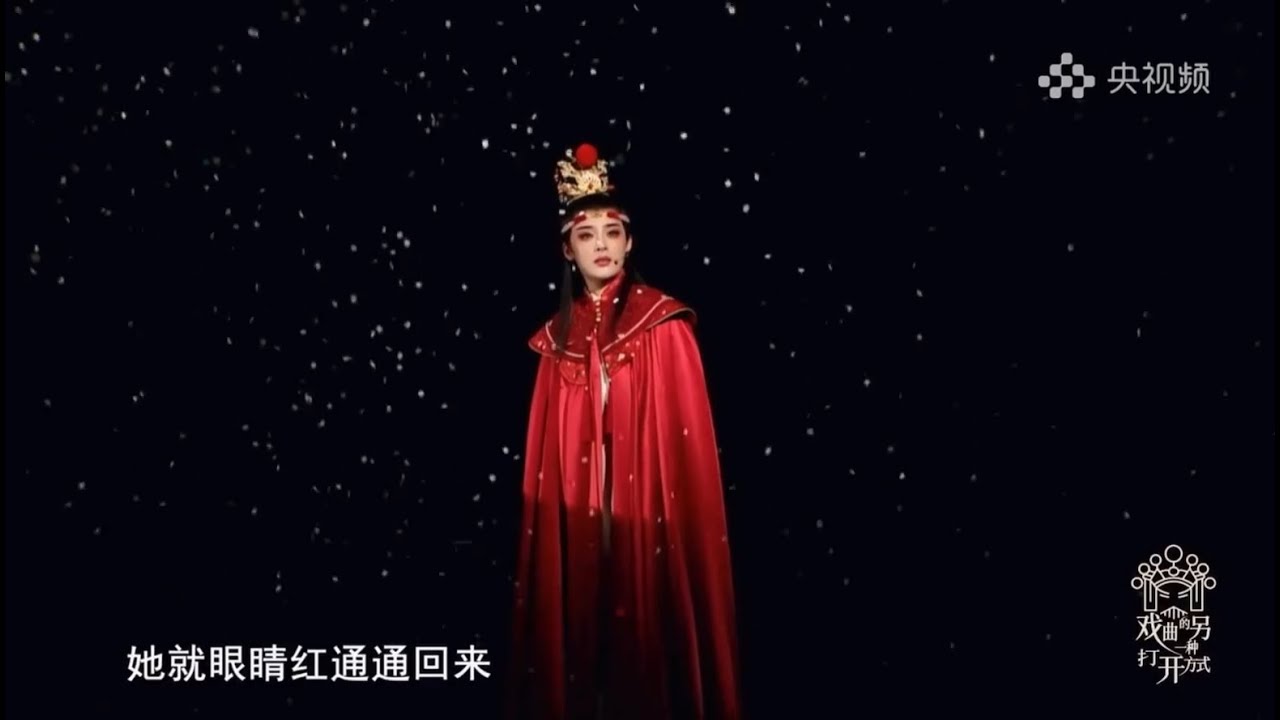 陈丽君 《好戏正青春》 | CCTV记录《戏曲的另一种打开方式》