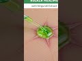 Periods, wounds, &amp; skin?! 🌿 This plant is a GAME CHANGER!🤯 #ayurveda #herbalremedies