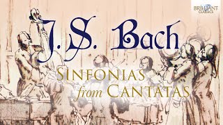 J.S. Bach: Sinfonias from Cantatas