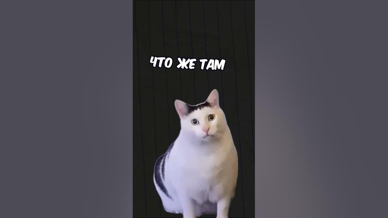 ДОНАТОВ НЕТ НЕНАВИДЯТ КЛИЕНТА! ПОЧЕМУ? #donatovnet - YouTube