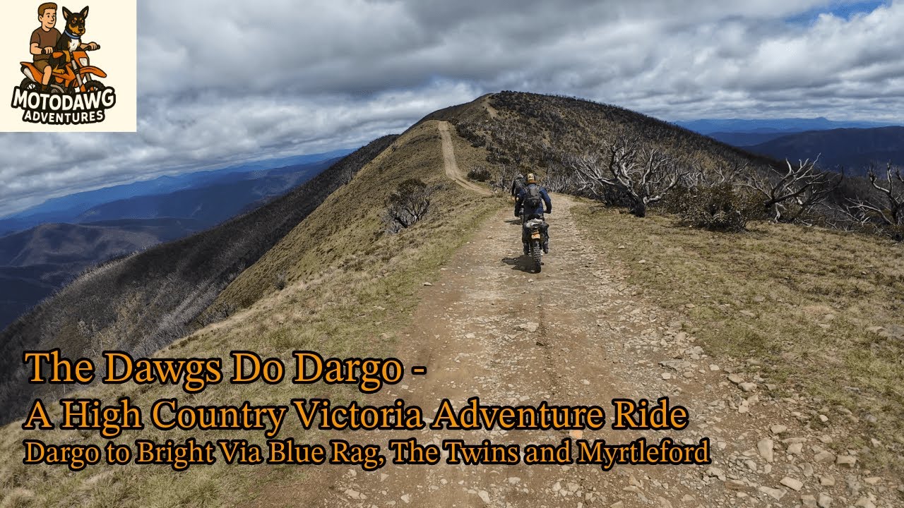 The Dawgs Do Dargo   A High Country Victoria Ride Dargo to Bright via Blue Rag and The Twins