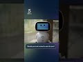 Meet Genie: The robot changing elderly care | 5 News