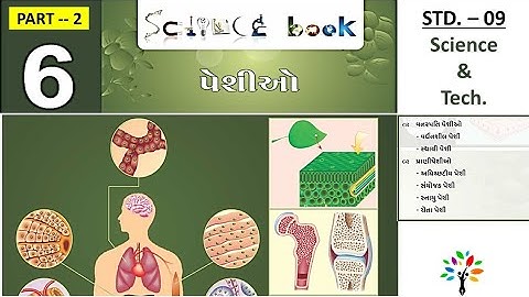 std 9 science Ch 6 - 2 | પેશીઓ | std 9 science in Gujarati | tissues