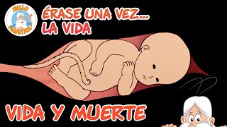 Thumbnail image for Vida y muerte | Recopilación de Episodios | Erase Una Vez... La Vida