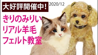 きりのみりいリアル羊毛フェルト教室.犬猫作品.2020.12