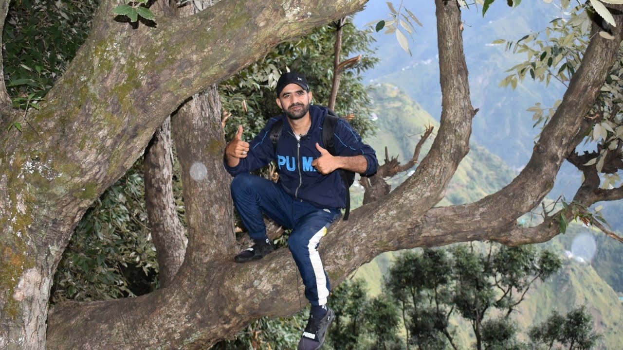 Birding and trecking in forest area