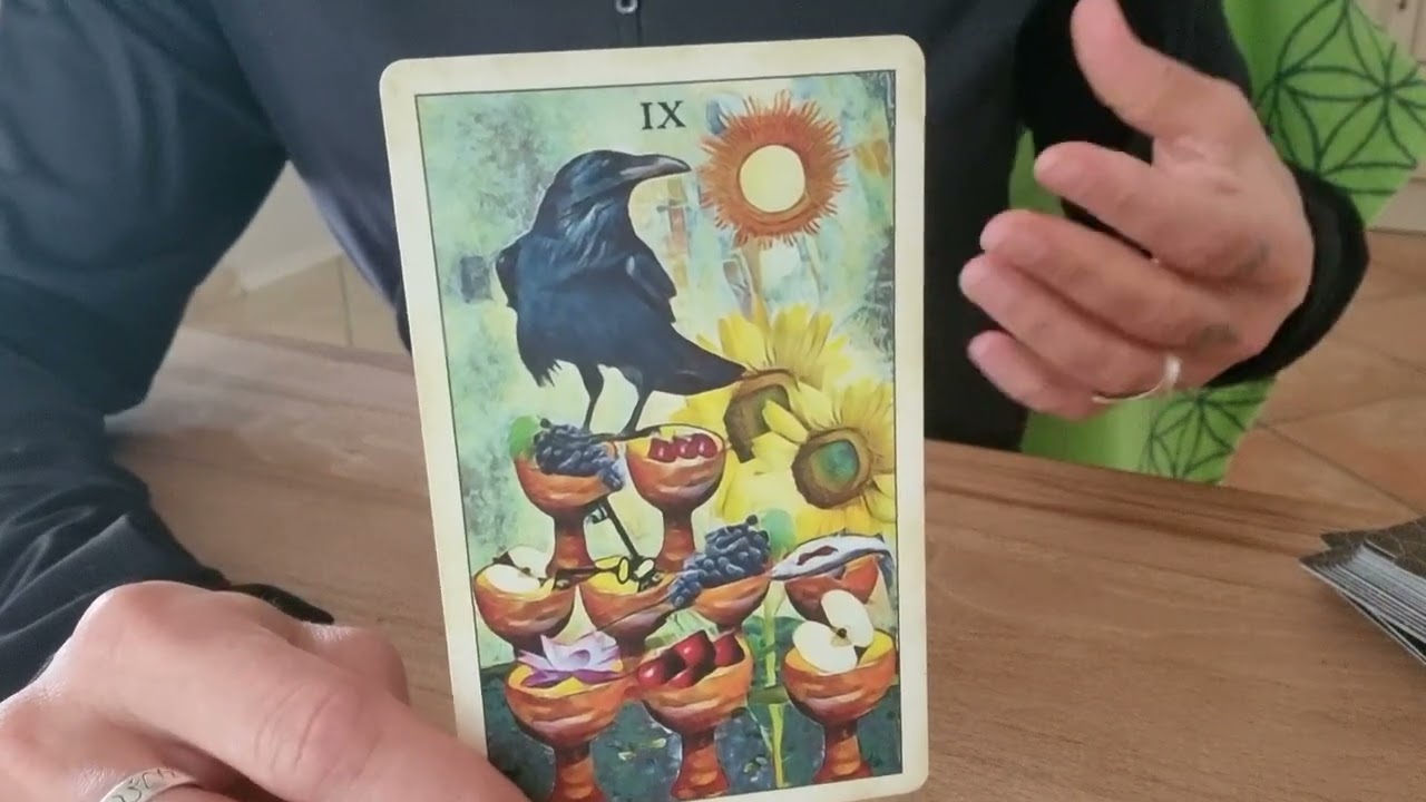 Meisterschaft!🏆🌟 - Du bist Teil einer Situation, die jetzt befreit wird! 🌩 #RuhigBrauner 🤫🐎➡️🦦🍹❤️