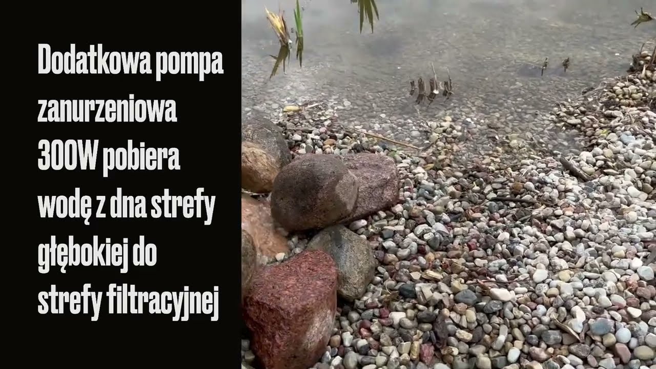 Staw kąpielowy, basen bez chemii krok po kroku DIY