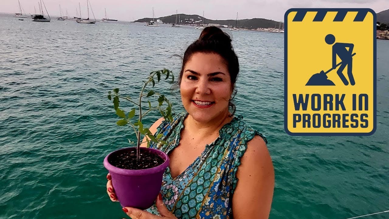 Boat Garden III Ep.119