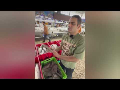 حراجی داریم مادر نزاید راژگو حلوا سیاه شوریده قیمت استثنایی حسوت آوردیم فقط۳۸تومن ارسال داریم ماهی