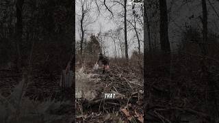Getting the beaver sets in the water! #trending #trap #beaver