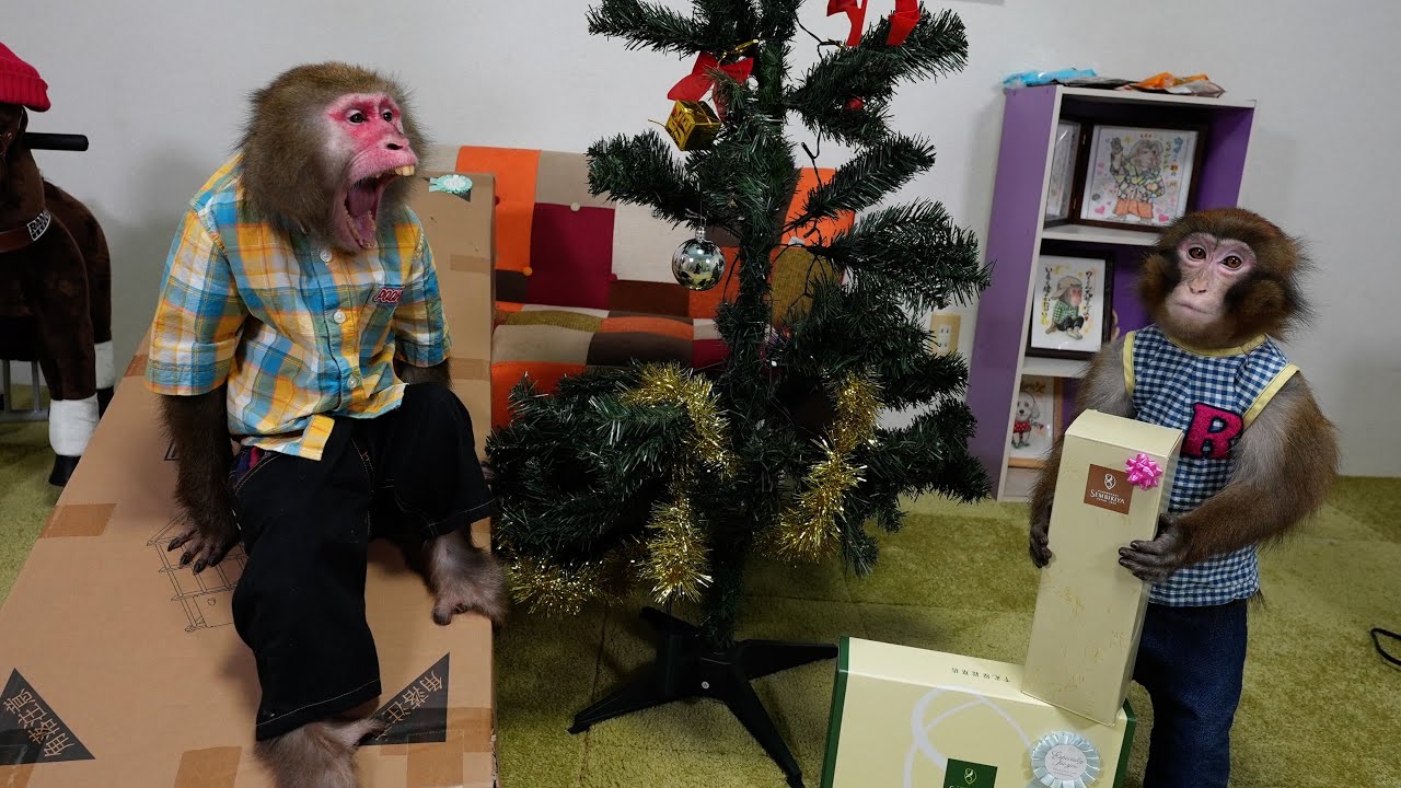 クリスマスの朝にプレゼントを見つけたお猿さんの反応が可愛すぎる