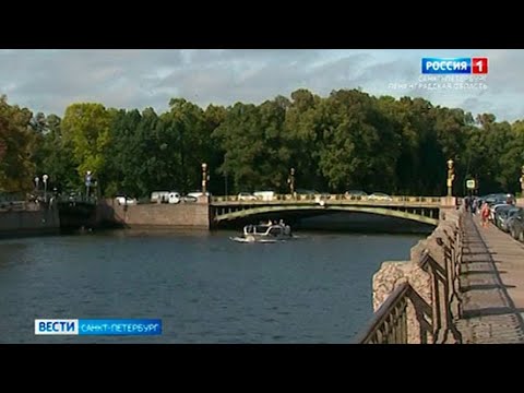Video: Промсервис - Санкт-Петербургда жана Ленинград облусунда кесилген жыгачтарды сатуу