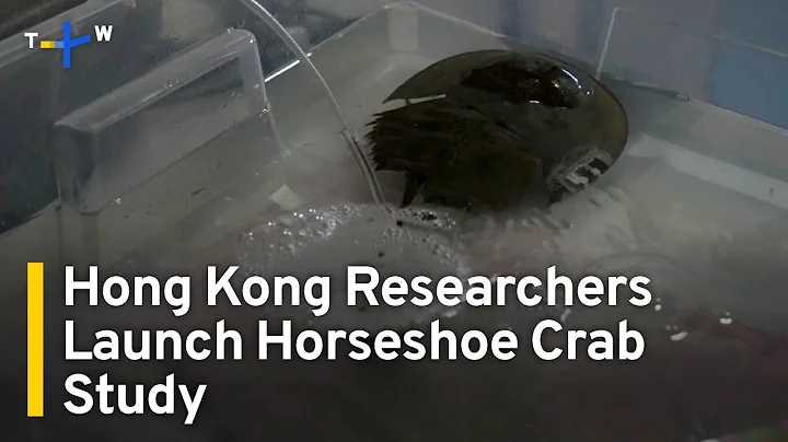 Hong Kong Researchers Launch Horseshoe Crab Study | TaiwanPlus News - DayDayNews