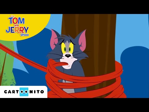 Tom ve Jerry | Ekip Çalışması | Boomerang