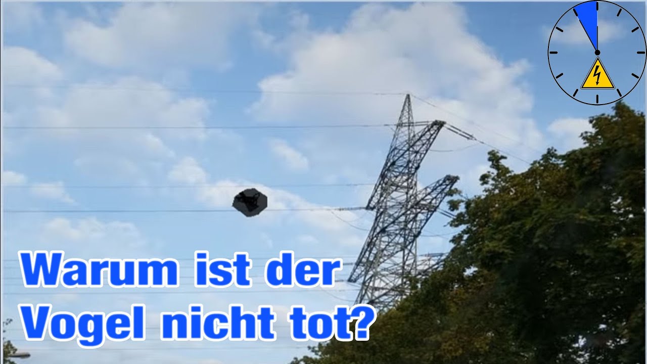Warum Bekommen Vögel Auf Hochspannungsleitungen Keinen Stromschlag Warum können Vögel auf Hochspannungsleitungen sitzen? - YouTube
