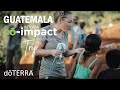 doTERRA Co-Impact Sourcing Trip: Guatemala