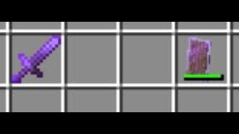 Shield unbreaking lvl 255 vs Netherite sword sharpness lvl 255