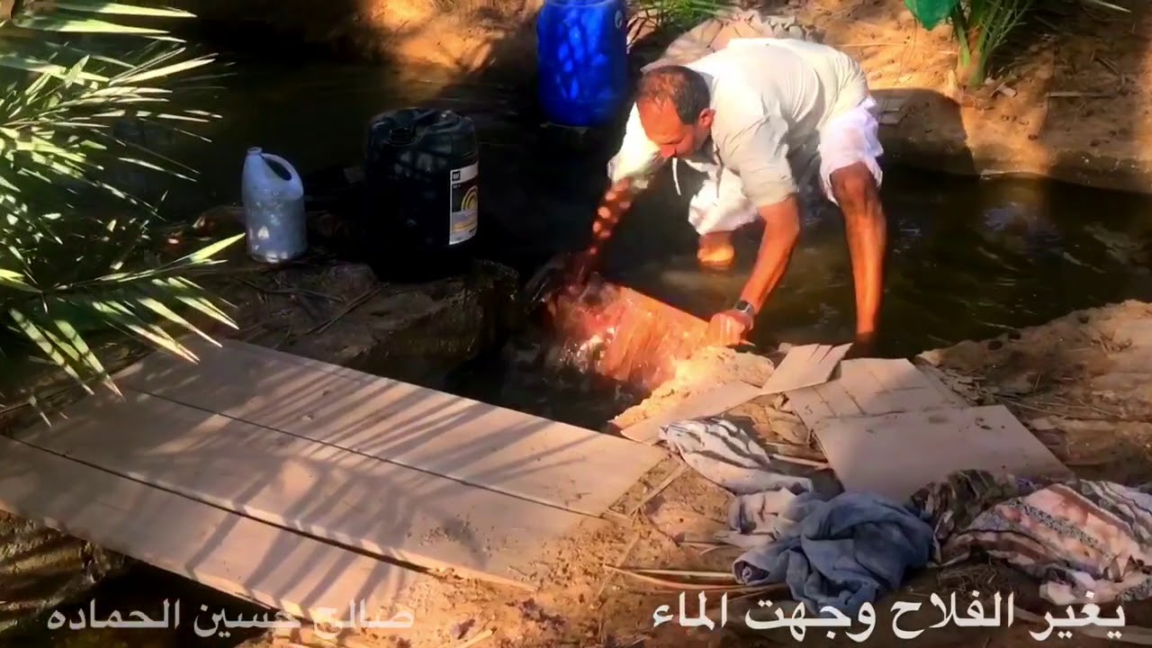 كيف يروي الحساوي مزرعته ؟