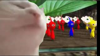 When The Pikmin Bloom Expedition Theme Starts Playing
