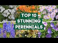 10 stunning perennials every garden should have   plantdo home  garden