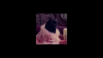 Pankly - Gosha Remix ($NOT Remix)