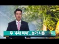 조선 왕 이름(묘호) 2분만에 노래로 외우기