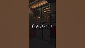 القارئ الشيخ د.هاشم ابو دلال