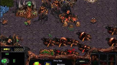StarCraft: Brood War - 1 Zerg vs 7 Zerg ( vs 7 computers ) Map: Big Game Hunters