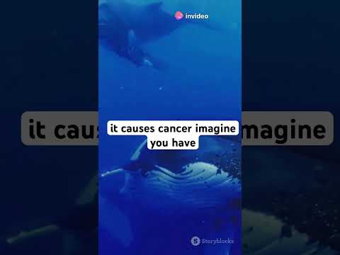 Why elephants &