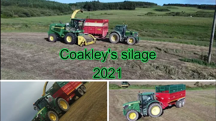 Coakley's silage 2021