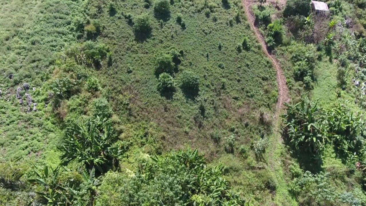 น่าน 17 20 พย