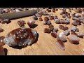 Beginning of video