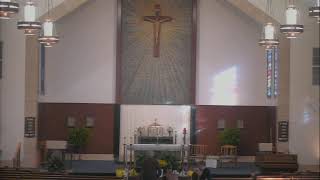 TWENTY SEVENTH SUNDAY IN ORDINARY TIME