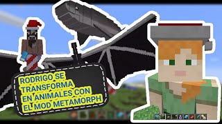 Rodrigo juega a transformarse en animales con el mod Metamorph en Minecraft 1.12.2