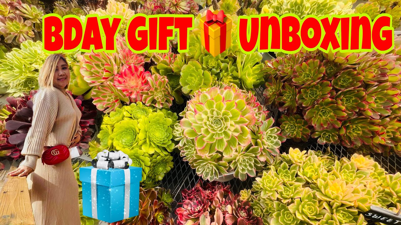 B-day Gift Unboxing From Friend/Angel Hara channel 