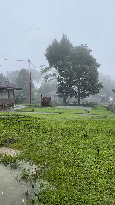 Syahdunya saat hujan turun, enaknya tarik selimut #shorts